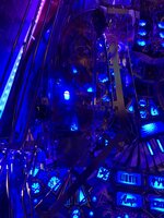 IMG_8349.jpeg