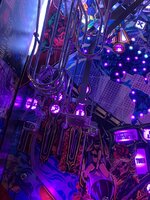 IMG_8348.jpeg
