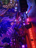IMG_8347.jpeg