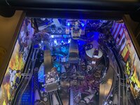 IMG_8409.jpeg