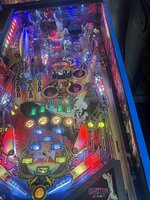 IMG_4387.jpeg