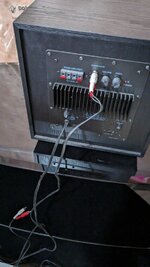PXL_20230912_125540072.jpg