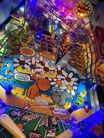 IMG_2988.JPG
