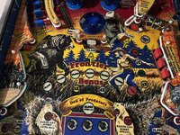 IMG_3163.jpeg
