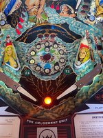 IMG_8895.jpg