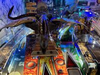 IMG_1133.jpeg