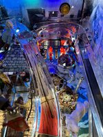 IMG_1135.jpeg