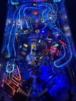 IMG_1515.jpeg