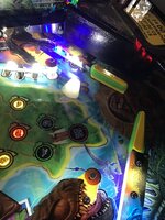 IMG_0521.jpeg