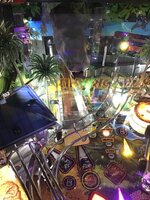 IMG_0518.jpeg