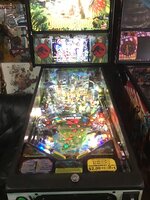 IMG_0488.jpeg