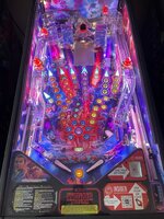 IMG_6401.jpeg