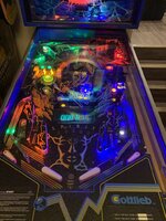 IMG_9174.jpeg
