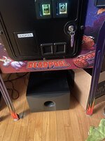 IMG_3875.jpeg