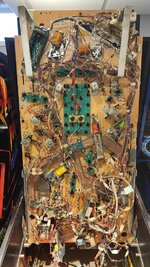 20230425_174118.jpg