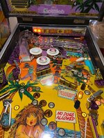 IMG_9153.jpg