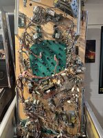 IMG_3931.jpeg