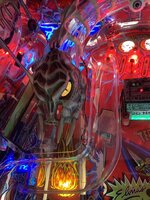 IMG_9586.JPG