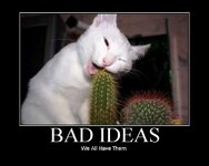 BadIdeas.jpg