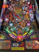 IMG_5809.jpeg