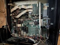 IMG_1916.jpeg