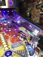 IMG_0904.jpeg