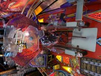 IMG_0184.jpeg