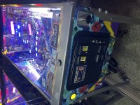 IMG_9392.jpeg