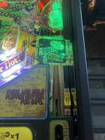 IMG_6544.jpeg