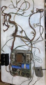 IMG_5366.jpeg