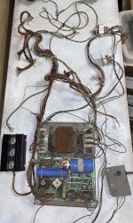 IMG_5365.jpeg