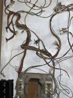 IMG_5368.jpeg