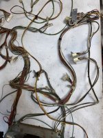 IMG_5372.jpeg