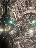 IMG_3659.jpeg