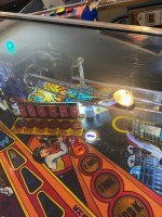 IMG_9866.jpg