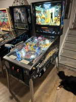 IMG_4907.JPEG