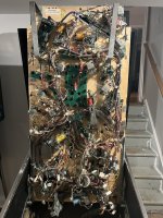 IMG_4909.JPEG