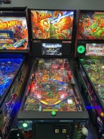 IMG_8137.jpeg