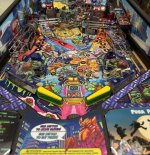 IMG_2431.jpeg