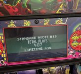 IMG_2429.jpeg