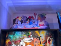 IMG_7881.jpg