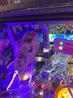 IMG_7863.jpg