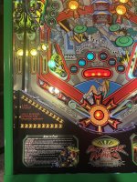 IMG_4928.jpeg