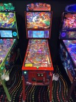 IMG_9544.jpeg