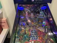 IMG_0236.jpeg