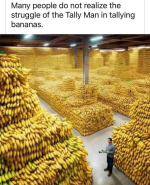 1760576202881.png