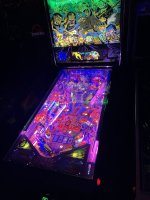 IMG_5037.JPG