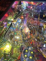 IMG_1392.jpeg