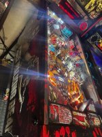 IMG_2132.jpeg