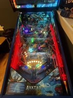 IMG_1297.jpeg